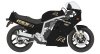 Hasegawa 21749 Suzuki GSX-R750(H) (GR71G) Black/Gold Color (1987) 1/12